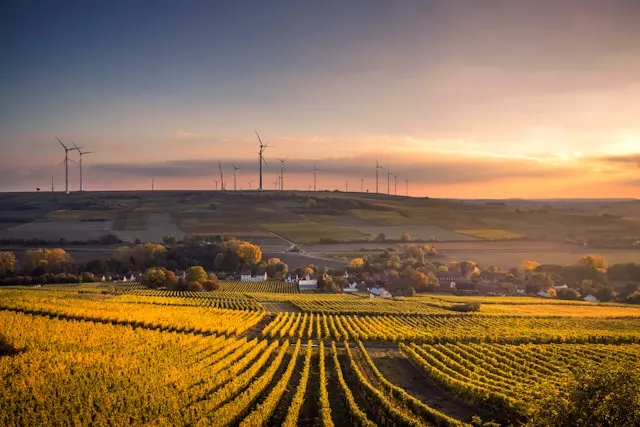 Cambio climático en SofTim