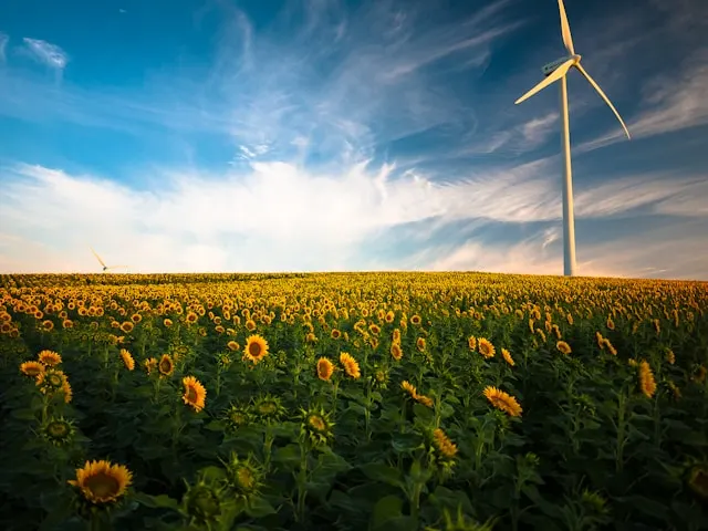 Cambio climático en SofTim